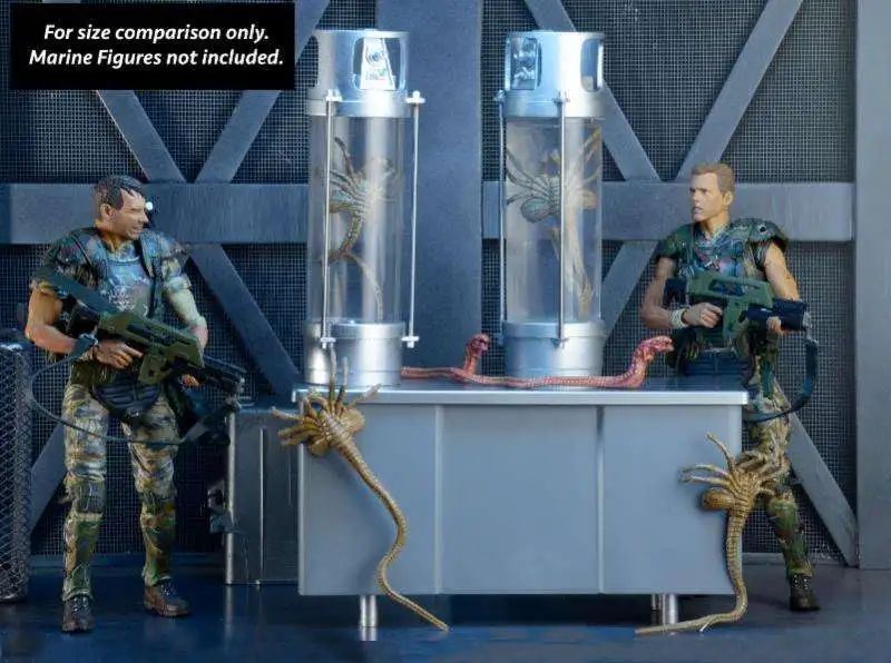 Outlet ๐ NECA Aliens 30th Anniversary 7-Inch Deluxe Creature Pack ๐คฉ 4 Outlet ๐ NECA Aliens 30th Anniversary 7-Inch Deluxe Creature Pack ๐คฉ - Image 2