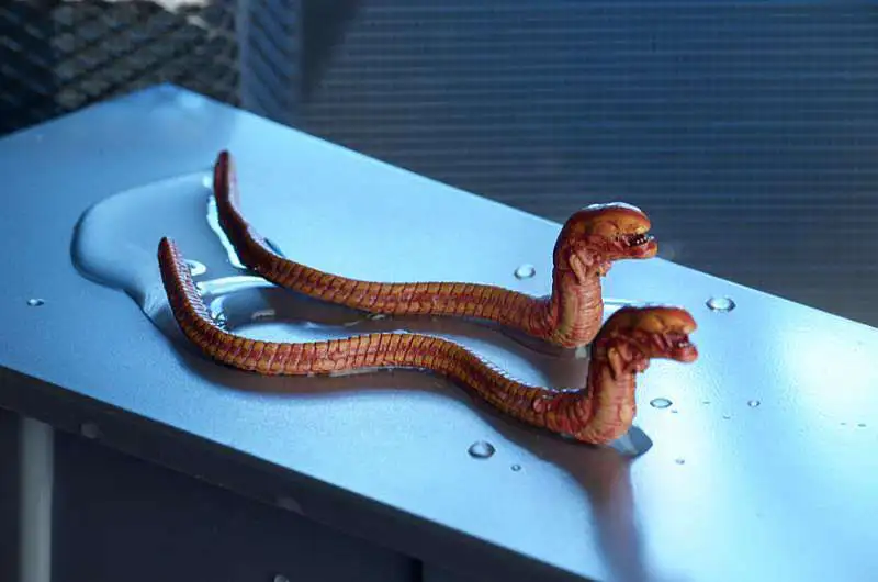 Outlet ๐ NECA Aliens 30th Anniversary 7-Inch Deluxe Creature Pack ๐คฉ 5 Outlet ๐ NECA Aliens 30th Anniversary 7-Inch Deluxe Creature Pack ๐คฉ - Image 3