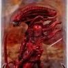 Discount 🥰 NECA Aliens Series 5 Red Genocide Warrior Action Figure ✔️ -Harry Potter Sale Store aliens5redgenocidewarrior