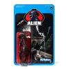 Cheap 🎁 ReAction Aliens Bloody Alien Open Mouth Action Figure [Blue Card] 🤩 -Harry Potter Sale Store aliensreactionbloodyalienopenmouthblue