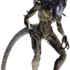 Best Pirce ๐ฅฐ Alien vs Predator AVP Requiem Predalien Exclusive Action Figure ๐ 2 Best Pirce ๐ฅฐ Alien vs Predator AVP Requiem Predalien Exclusive Action Figure ๐ -Harry Potter Sale Store aug219057