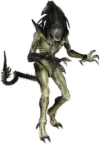 Discount ๐งจ Alien vs Predator Requiem Movie Masterpiece Predalien Collectible Figure ๐ 3 Discount ๐งจ Alien vs Predator Requiem Movie Masterpiece Predalien Collectible Figure ๐