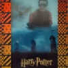 Cheapest 🤩 The World of Harry Potter 3-D Quidditch Box Topper Card BT4 🔥 2 Cheapest 🤩 The World of Harry Potter 3-D Quidditch Box Topper Card BT4 🔥 -Harry Potter Sale Store bt4