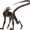 Wholesale โจ Alien 3 Look Up ๐ถ Dog Alien Exclusive Action Figure ๐ 2 Wholesale โจ Alien 3 Look Up ๐ถ Dog Alien Exclusive Action Figure ๐ -Harry Potter Sale Store dec209421