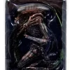 Buy 🧨 NECA Aliens 3 Series 3 🦮 Dog Alien Action Figure 🤩 -Harry Potter Sale Store dogalien