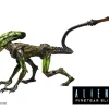 Brand new ๐ NECA Fireteam Elite Burster Alien Action Figure ๐ฅฐ 2 Brand new ๐ NECA Fireteam Elite Burster Alien Action Figure ๐ฅฐ -Harry Potter Sale Store fireteameliteburster