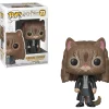 Wholesale 🔥 Funko POP! Harry Potter Hermione Vinyl Figure #77 [As Cat] 🎉 -Harry Potter Sale Store funko35509