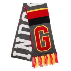 Best Pirce ๐ฏ Harry Potter Gryffindor Stripe Scarf ๐ฅฐ