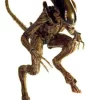 Outlet ๐ Alien 3 Movie Masterpiece ๐ถ Dog Alien Collectible Figure ๐ 2 Outlet ๐ Alien 3 Movie Masterpiece ๐ถ Dog Alien Collectible Figure ๐ -Harry Potter Sale Store hottoysdogalien