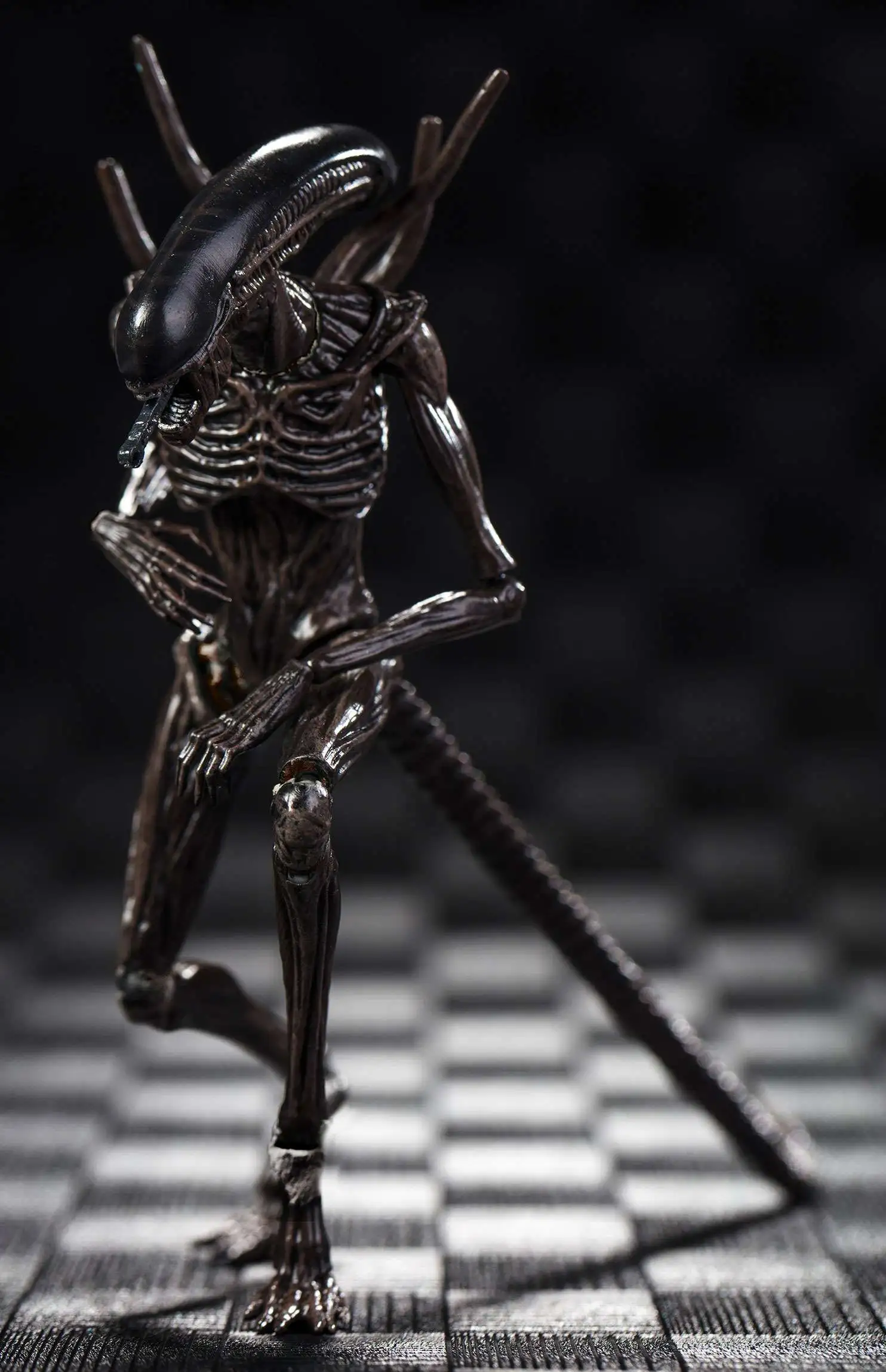 Deals ⭐ Alien Covenant Xenomorph Alien Exclusive Action Figure (Pre-Order ships January) ✔️ 5 Deals ⭐ Alien Covenant Xenomorph Alien Exclusive Action Figure (Pre-Order ships January) ✔️ - Image 3