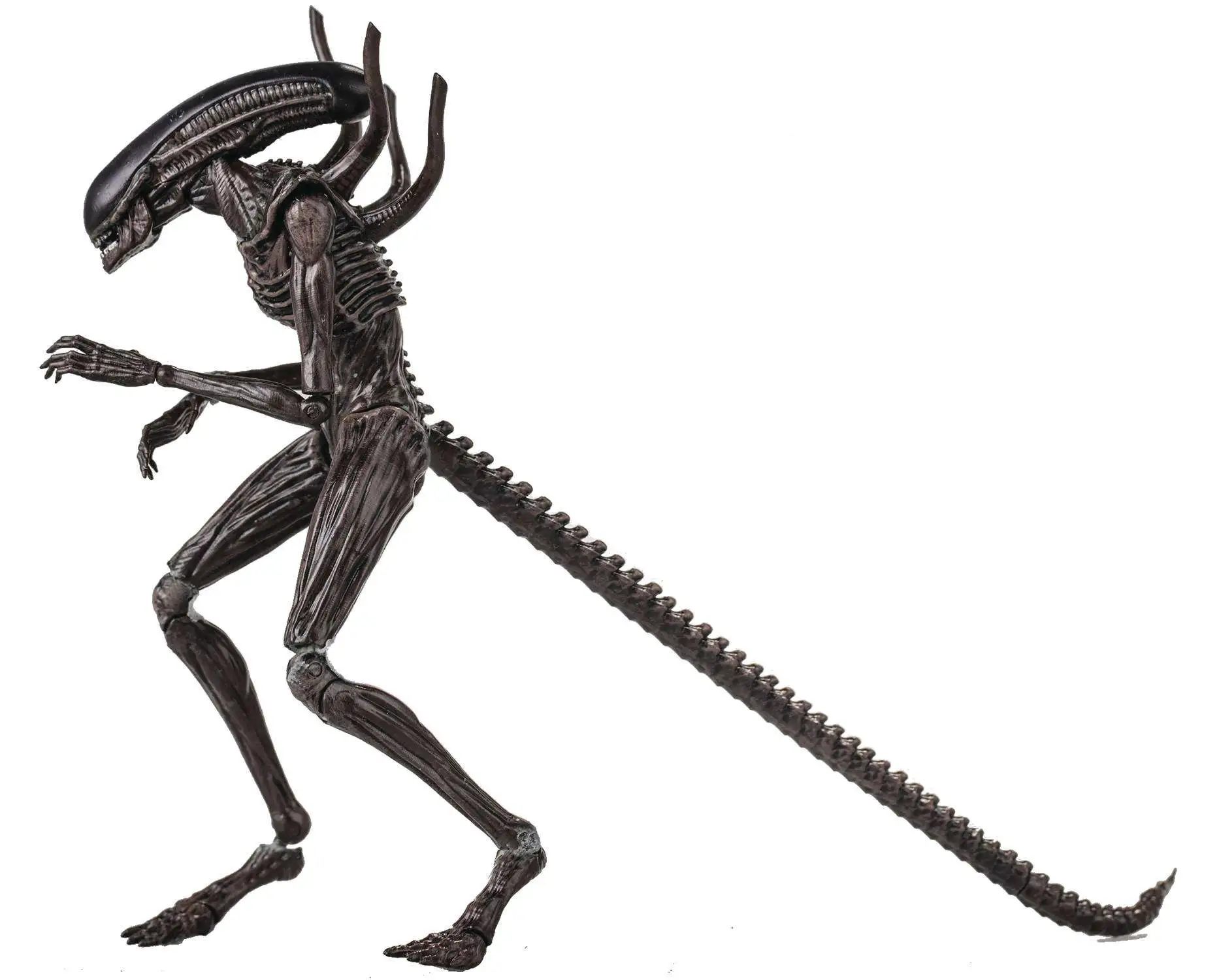 New ๐คฉ Alien Covenant Xenomorph Exclusive Action Figure ๐ 3 New ๐คฉ Alien Covenant Xenomorph Exclusive Action Figure ๐