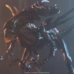 Cheap ๐คฉ Alien Resurrection Cloned Alien Xenomorph Queen Action Figure ๐ 9 Cheap ๐คฉ Alien Resurrection Cloned Alien Xenomorph Queen Action Figure ๐ -Harry Potter Sale Store may218067 inset3 scaled