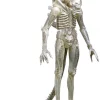 Outlet ๐งจ NECA Alien Series 7 '79 Concept 'Big Chap' Action Figure ๐ฅฐ 2 Outlet ๐งจ NECA Alien Series 7 '79 Concept 'Big Chap' Action Figure ๐ฅฐ -Harry Potter Sale Store neca79conceptalien