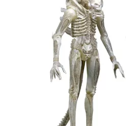 Outlet ๐งจ NECA Alien Series 7 '79 Concept 'Big Chap' Action Figure ๐ฅฐ