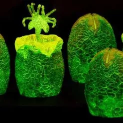 Cheapest 💯 NECA Aliens Glow-in-the-Dark Xenomorph Eggs in Carton Set Action Figure 👏 9 Cheapest 💯 NECA Aliens Glow-in-the-Dark Xenomorph Eggs in Carton Set Action Figure 👏 -Harry Potter Sale Store necaalieneggsglowinthedark inset3