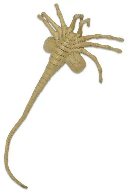 Wholesale ✔️ NECA Aliens Life Size Facehugger Prop Replica ❤️ 3 Wholesale ✔️ NECA Aliens Life Size Facehugger Prop Replica ❤️