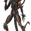 Deals ๐ NECA Aliens Series 13 Scorpion Alien Action Figure ๐ 1 Deals ๐ NECA Aliens Series 13 Scorpion Alien Action Figure ๐ -Harry Potter Sale Store necaaliens13scorpionalien