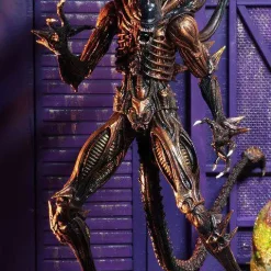 Deals ๐ NECA Aliens Series 13 Scorpion Alien Action Figure ๐ 10 Deals ๐ NECA Aliens Series 13 Scorpion Alien Action Figure ๐ -Harry Potter Sale Store necaaliens13scorpionalien inset3