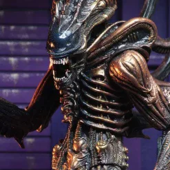 Deals ๐ NECA Aliens Series 13 Scorpion Alien Action Figure ๐ 11 Deals ๐ NECA Aliens Series 13 Scorpion Alien Action Figure ๐ -Harry Potter Sale Store necaaliens13scorpionalien inset4