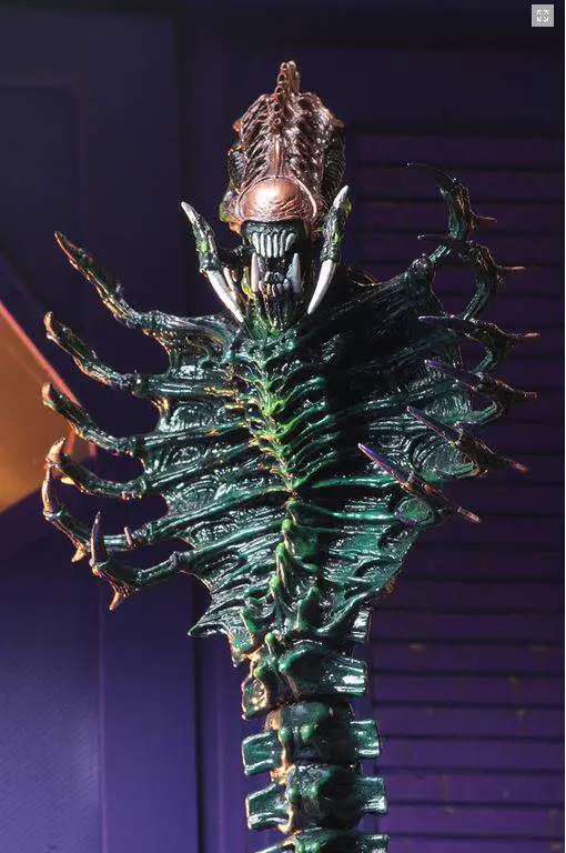 Promo ๐งจ NECA Aliens Series 13 Snake Alien Action Figure ๐ฅฐ 7 Promo ๐งจ NECA Aliens Series 13 Snake Alien Action Figure ๐ฅฐ - Image 5
