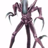 Top 10 🎉 NECA Alien vs Predator Arcade Game Razor Claws Alien Action Figure [Ultimate Body] 🎁 -Harry Potter Sale Store necaavpsdccexclusive1