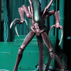 Top 10 🎉 NECA Alien vs Predator Arcade Game Razor Claws Alien Action Figure [Ultimate Body] 🎁 -Harry Potter Sale Store necaavpsdccexclusive1 inset1