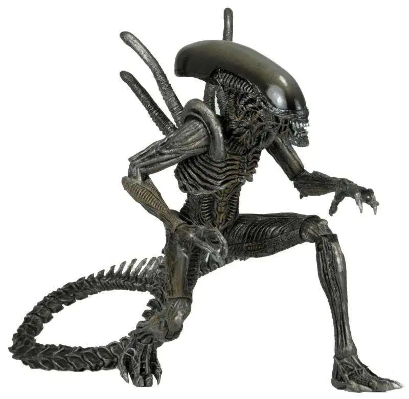 Outlet โ๏ธ NECA Alien AVP Series 7 Warrior Action Figure ๐ 4 Outlet โ๏ธ NECA Alien AVP Series 7 Warrior Action Figure ๐ - Image 2