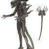 Cheap ⌛ NECA 40th Anniversary Big Chap Alien Xenomorph Action Figure [Version 2] ✨ -Harry Potter Sale Store necaultimate40thbigchap2