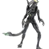 Deals 😀 AVP Alien vs. Predator Xenomorph Alien Warrior Exclusive Action Figure [Blownout] 🥰 -Harry Potter Sale Store oct208830
