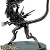 Coupon 🎁 Aliens Signature Series Alien Queen Statue [Damaged Package] 🛒 -Harry Potter Sale Store ptalienssqueendp