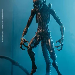 Buy ๐ฏ Alien 3 ๐ฆฎ Dog Alien Xenomorph Exclusive Action Figure โ๏ธ 8 Buy ๐ฏ Alien 3 ๐ฆฎ Dog Alien Xenomorph Exclusive Action Figure โ๏ธ -Harry Potter Sale Store sep208619 inset2