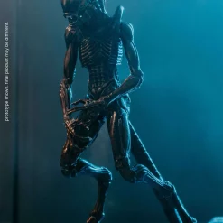 Buy ๐ฏ Alien 3 ๐ฆฎ Dog Alien Xenomorph Exclusive Action Figure โ๏ธ 9 Buy ๐ฏ Alien 3 ๐ฆฎ Dog Alien Xenomorph Exclusive Action Figure โ๏ธ -Harry Potter Sale Store sep208619 inset3